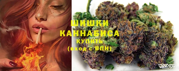 крисы Богородск