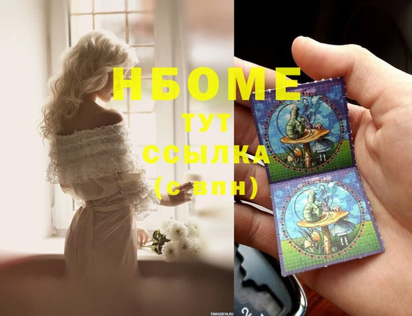 стаф Белокуриха