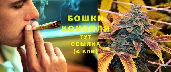 прущая мука Богданович